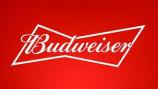Anheuser Busch - Budweiser 12pk Bottles 0