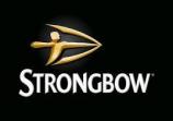 Strongbow Original Dry Cider 16oz Cans 0